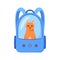 Cat in carrier bag. Backpack with window for traveling with pets or visiting veterinarian. Red cat in transportation