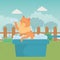 Cat cartoon taking shower design