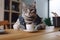 A cat in casual clothes sits at a table in a cozy home and drinks coffee