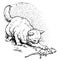 Cat Catches Mouse, vintage illustration