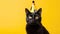 Cat celebrating birthday wearing party hat, isolated on yellow background