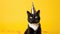 Cat celebrating birthday wearing party hat, isolated on yellow background