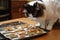 cat chef, putting the finishing touches on plate of delectable treats for their furry friends