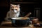 cat chef stirring pot with wooden spoon, preparing hearty stew