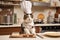 cat chef, whipping up delicious and nutritious meal for its feline friends