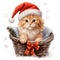 A cat in a christmas hat sitting in a basket. Pets, Christmas clipart.