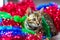 Cat in Christmas multicolor tinsel