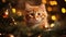 Cat in a Christmass scenery. Ai generative