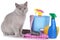 Cat with cleaning agents