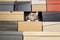 Cat climbed into a pile of folded shoe boxes and hides, as if he was hunting someone, looking intently upwards, with copy space