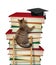 Cat climbs the ladder of knowledge