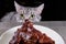 Cat close-up sniffs a big piece meat. Pet looks at table with plate. Grey cat smells human food. Roast beef on kitchen table.