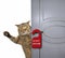 Cat closes the door