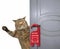 Cat closes the door 2