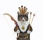 Cat colored indian holds arrows and bow