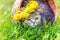 Cat crowned with dandelion chaplet sitting in a basket