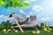 Cat in a deck chair relaxing on nature