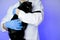 cat doctor.Veterinary procedures for cats.Examining a cat with a doctor.Big black cat in the hands of a veterinarian on