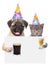Cat and dog in birthday hats holding beer and cocktail peeking from behind empty board. isolated on white background