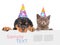 Cat and Dog in birthday hats peeking from behind empty board and