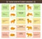 Cat and dog body language