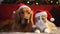 Cat and dog with christmas hat