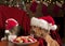 Cat and Dog devouring Santa\'s cookies and milk