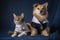 cat and dog dressed in their flight uniforms, ready to take off on their next adventure