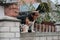 cat and dog on the fence guarding the house