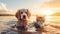 cat and dog friendship , puppy sit play on sunset in sea water on beach wild field