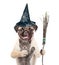Cat and Dog in hat for halloween holding witches broom stick. isolated on white background