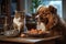 cat and dog having dinner together in a domestic setting