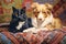 a cat and a dog lie on a vintage patchwork quilt, generated by AI, generative assistant.