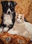 cat and dog, lying on a blanket, vintage picture, generated by AI, generative assistant.