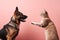 Cat and dog on pink background. Generate ai