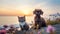 cat and dog play on beach , puppy sit play on sunset in sea water on beach wild fieldandspaniel