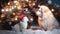 Cat and dog,puppy and kitty in red Santa claus hat near Green Christmas tree decorated on city street holiday festive background