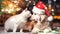 Cat and dog,puppy and kitty in red Santa claus hat near Green Christmas tree decorated on city street holiday festive background