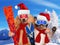 Cat and dog in red Christmas hats with skis