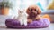 A cat and a dog are resting on a soft pet bed. Friendship between cat and dog