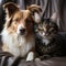 A cat and a dog are sitting on a drapery, animal friendship. AI generative