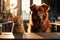 A cat and a dog are sitting at a table in the kitchen, animal friendship. AI generative