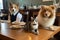 a cat and a dog sitting together on table, being served by wait staff