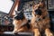 cat and dog team, working together in the cockpit, with furry paws on the controls