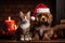 cat and dog wearing adorable Santa Claus outfits while sitting side by side next to a festively adorned fireplace