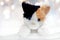 Cat Doll toy