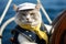 cat dressed as a yachtsman who steers a sailing yacht