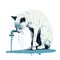 a cat drinking water from a faucet that is dripping from the faucet on the ground, with the cat\\\'s fa
