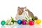 Cat with easter coloured eggs isolated on background