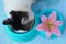 Cat eating from blue bowl with pink lily